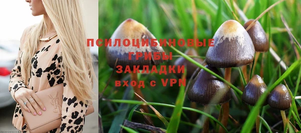 таблы Тавда